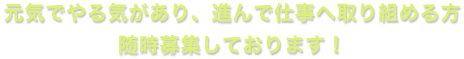 元気でやる気があり、進んで仕事へ取り組める方 随時募集しております！